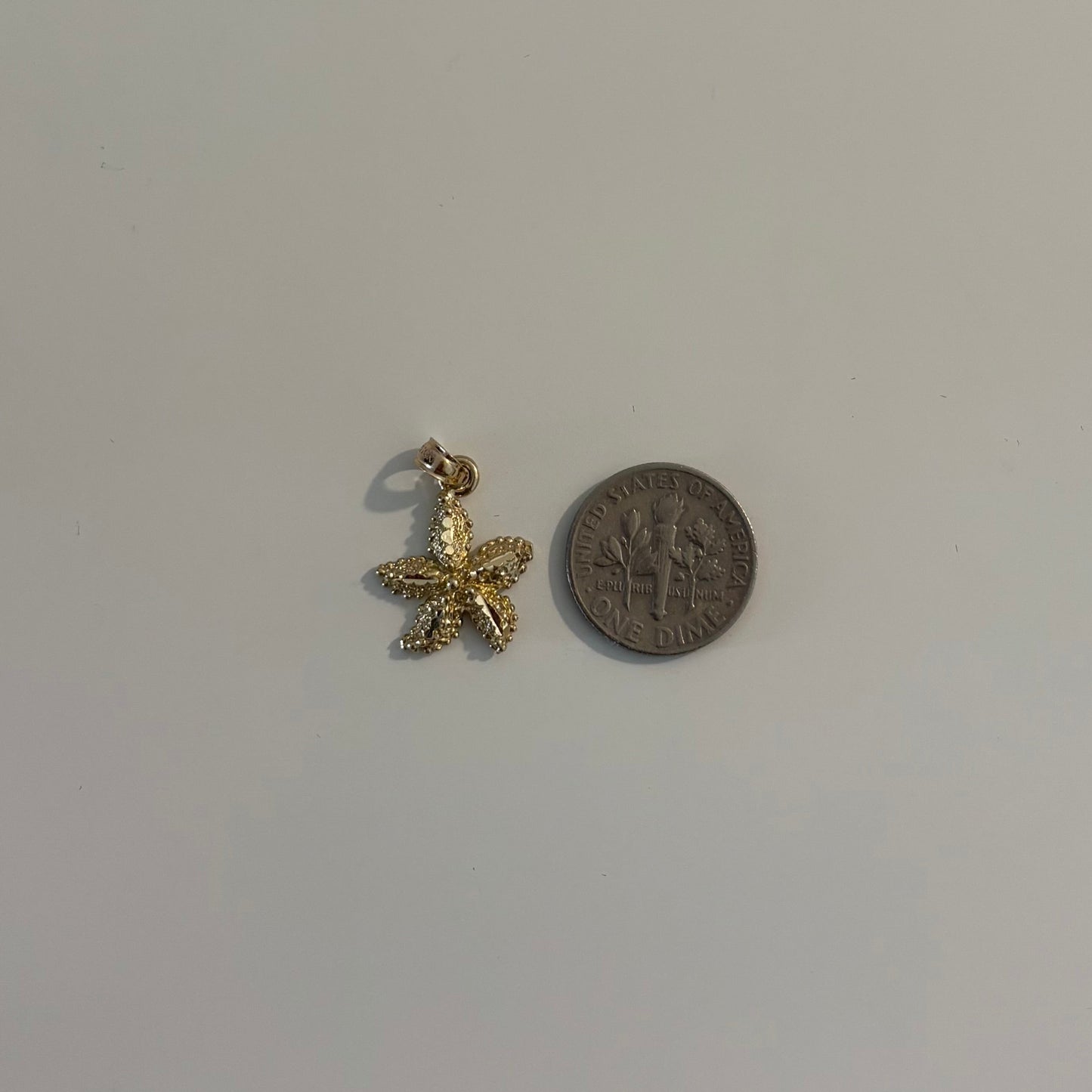 Gold starfish pendant and coin on a white surface