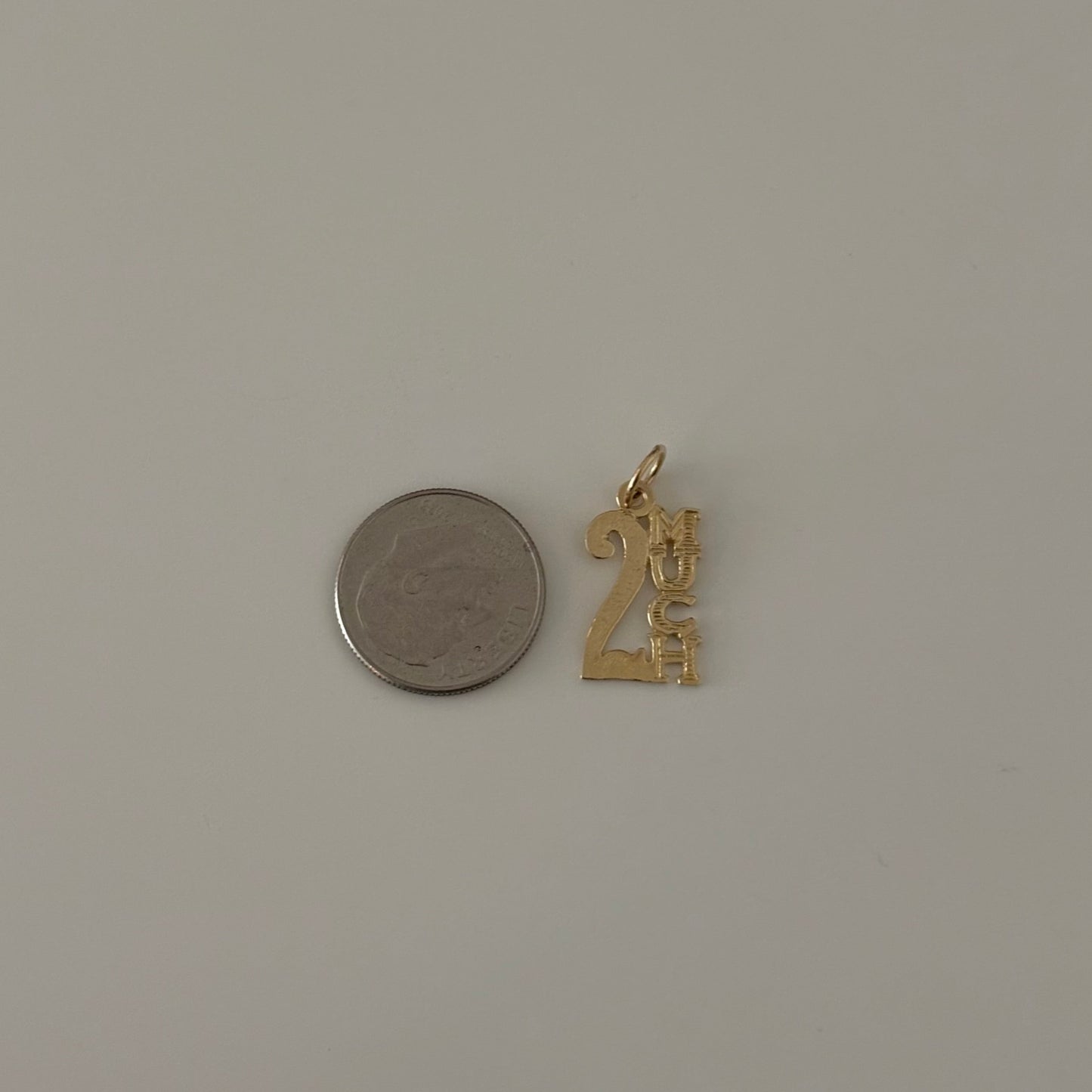 14K Gold “2 MUCH” Charm