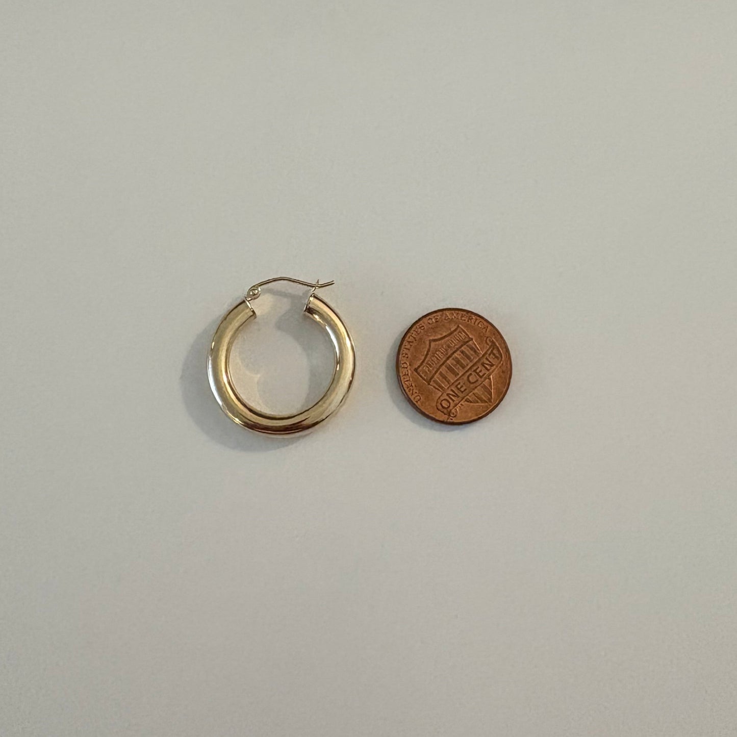 Gold earring and brown coin on a light gray background