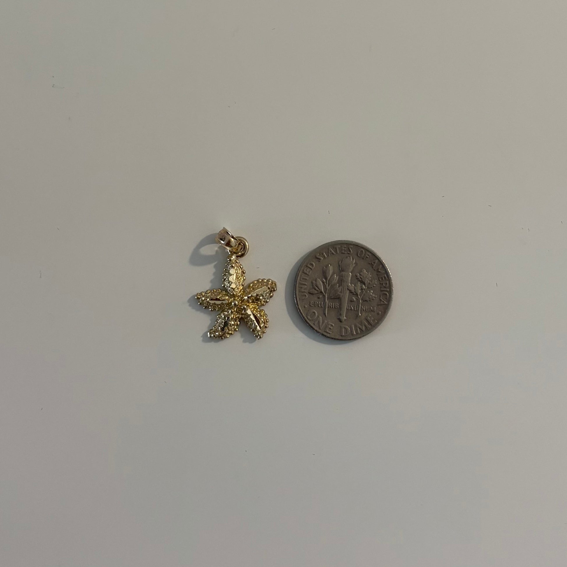 Gold starfish pendant and coin on a white surface