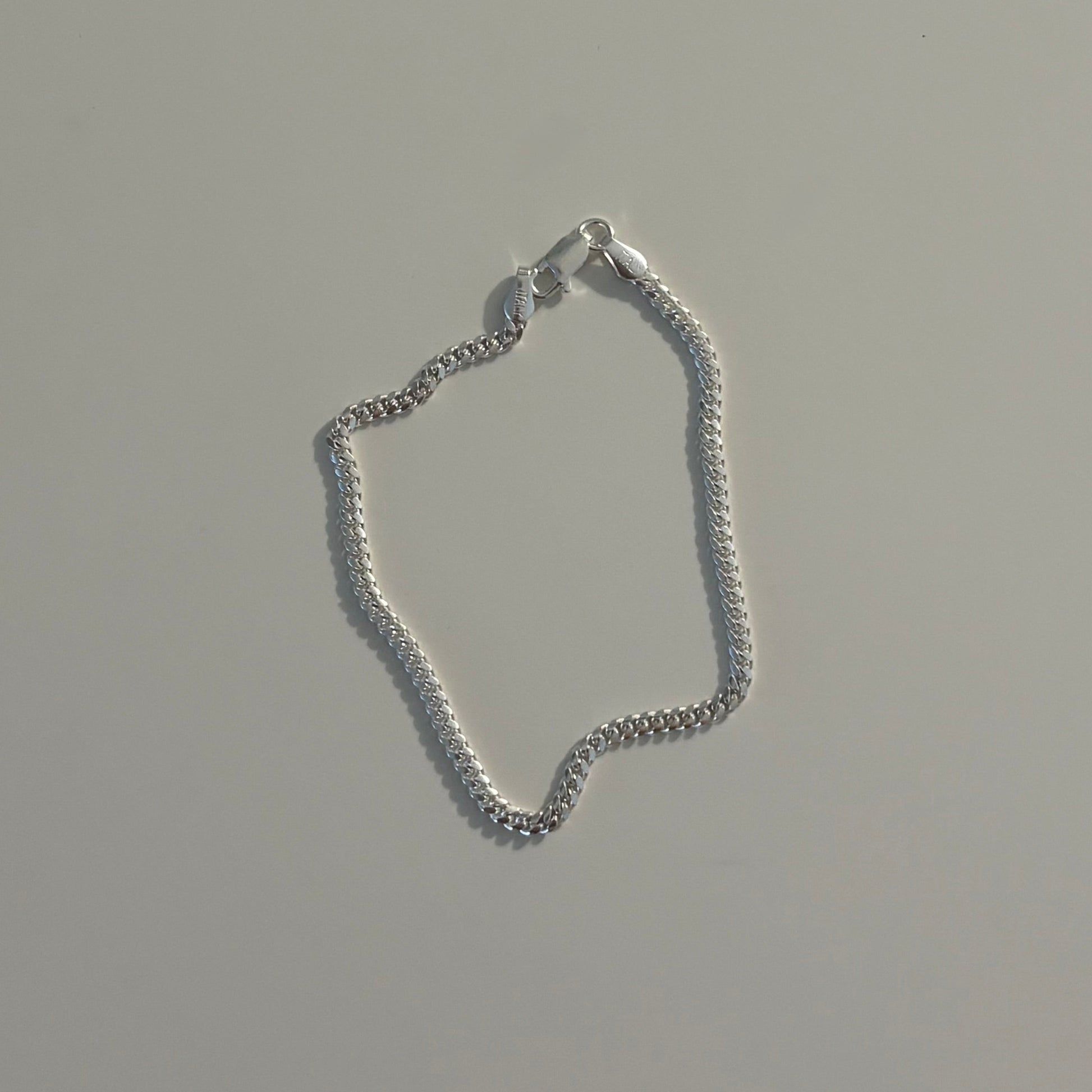A delicate silver chain necklace with a lobster clasp, laid flat on a light gray surface. Other jewelry pieces are partially visible at the top edge of the frame.