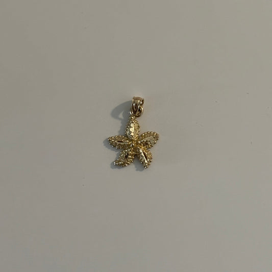 Gold starfish pendant on a gray background